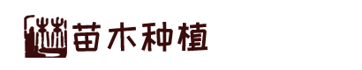 凯发彩票官方网址