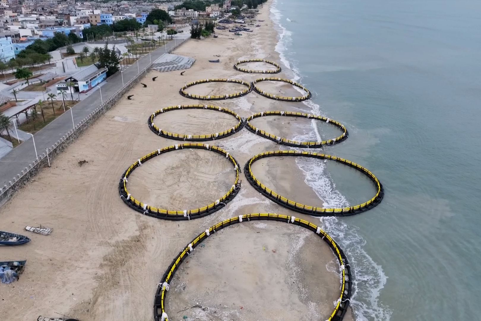 以大学的名义参加奥运